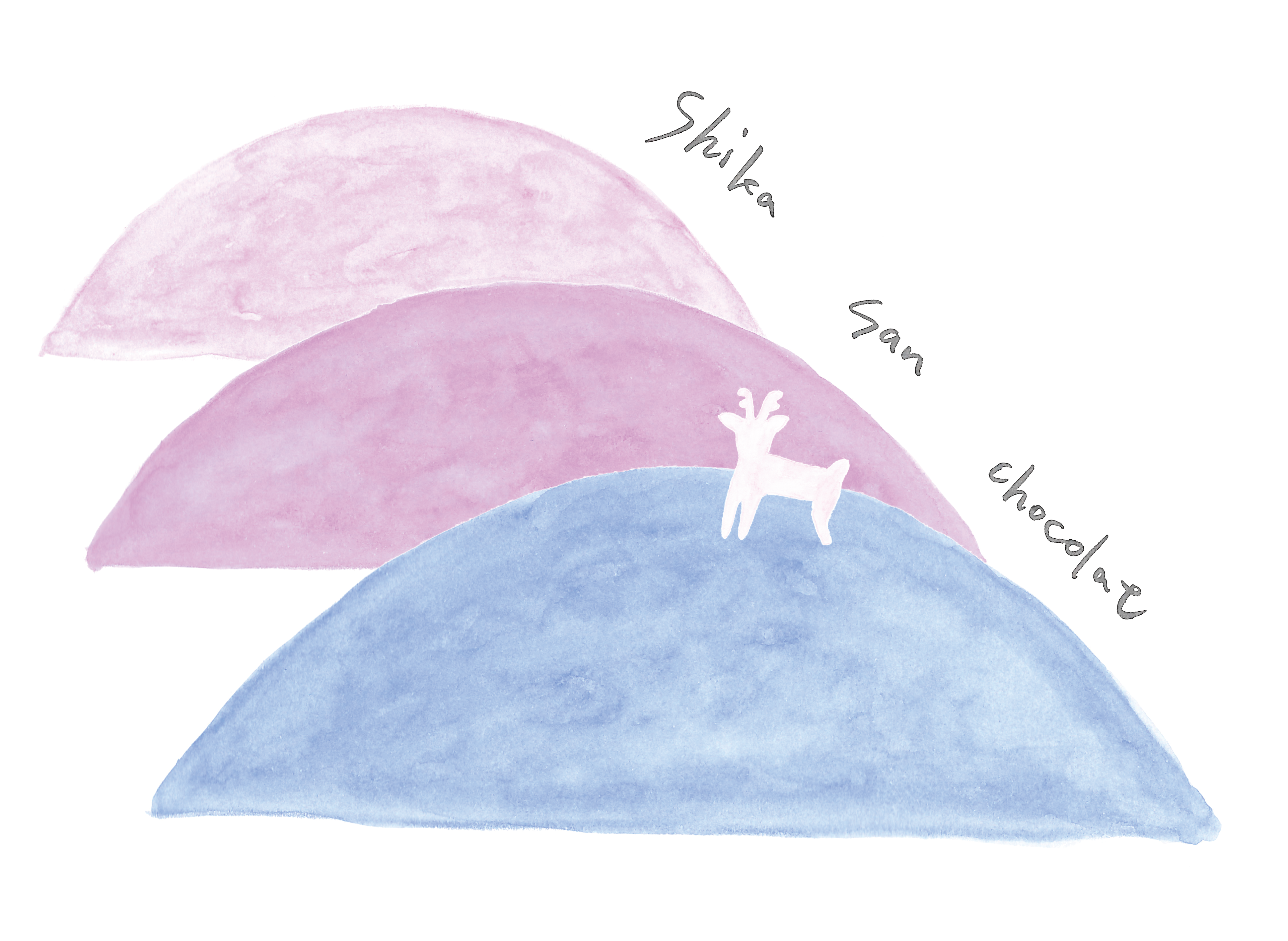 Shikasanchocolatロゴ